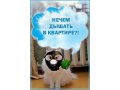 Продажа и монтаж приточной вентиляции в городе Тюмень, фото 1, Тюменская область