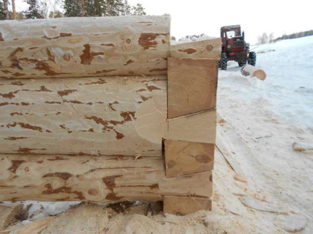 срубы из зимнего леса в городе Уфа, фото 6, стоимость: 0 руб.