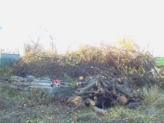 Спил деревьев,демонтаж,уборка участков!!! в городе Ростов-на-Дону, фото 1, стоимость: 0 руб.