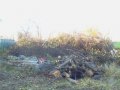 Спил деревьев,демонтаж,уборка участков!!! в городе Ростов-на-Дону, фото 1, Ростовская область