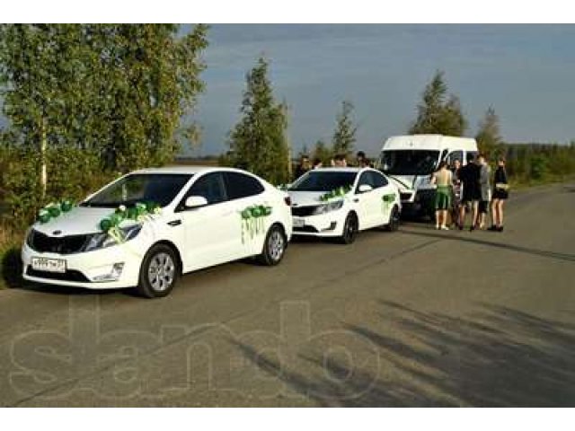 Машины на свадьбу,свадебный кортеж в городе Иваново, фото 8, Ивановская область