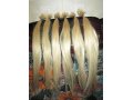 натуральные волосы (45 см) 100 гр в городе Серов, фото 1, Свердловская область