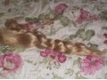 Продам искусственные волосы для наращивания Б/У в городе Тамбов, фото 2, стоимость: 0 руб.
