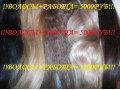 Наращивание волос в городе Санкт-Петербург, фото 3, Стрижка и наращивание волос