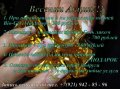 Маникюр, Наращивание ногтей, био гель, шилак в городе Санкт-Петербург, фото 1, Ленинградская область