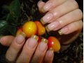 Наращивание ногтей акрил (гель), коррекция после другого мастера в городе Йошкар-Ола, фото 2, стоимость: 0 руб.