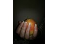 наращивание ногтей гелем.недорого в городе Волжский, фото 6, Маникюр, педикюр и наращивание ногтей