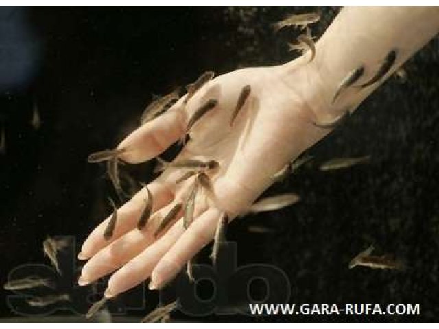 Косметология в городе Воронеж, фото 1, Косметология