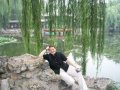 Частные уроки китайского языка: базовый курс в городе Москва, фото 1, Московская область