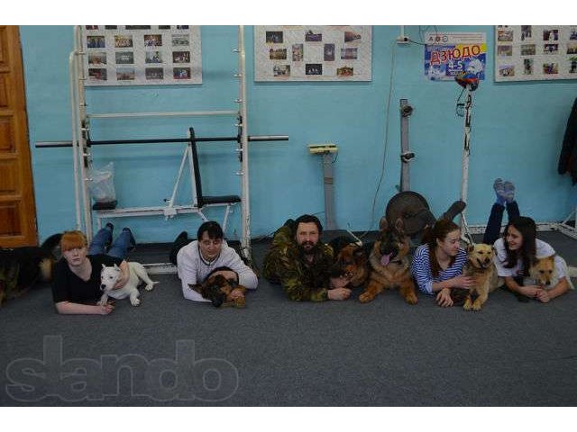 Гостиница для собак в городе Барнаул, фото 4, Алтайский край