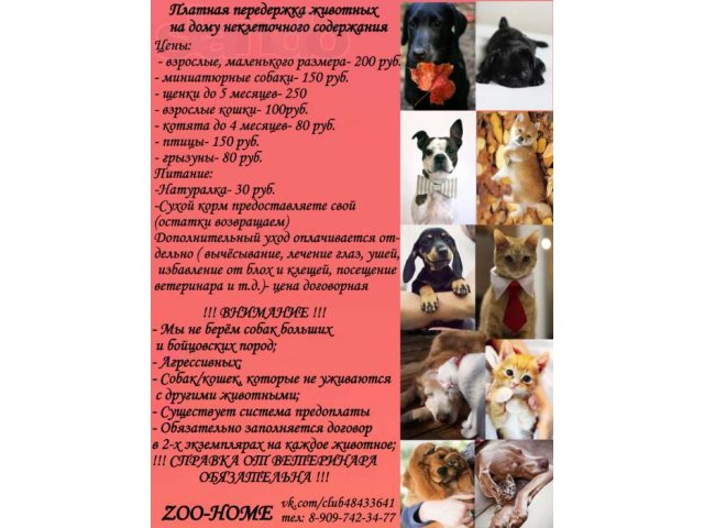 Платная передержка животных неклеточного содержания на дому в городе Тюмень, фото 1, стоимость: 0 руб.