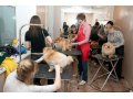 Парикмахерская для животных в городе Сургут, фото 3, Стрижка