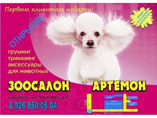 Стрижка собак и кошек г. Видное в городе Видное, фото 1, стоимость: 0 руб.