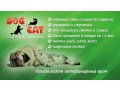 Стрижка собак в городе Краснодар, фото 2, стоимость: 0 руб.