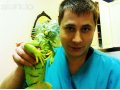 Ветеринар 24 часа. Выездная скорая ветеринарная помощь. в городе Москва, фото 1, Московская область