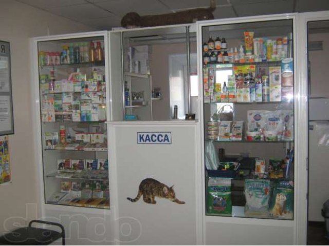 Ветеринарная клиника АС-ВЕТ в городе Алексин, фото 3, стоимость: 0 руб.