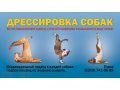 Индивидуальная дрессировка собак в городе Пятигорск, фото 1, Ставропольский край