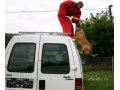 Дрессировка собак в Саратове и Энгельсе. в городе Саратов, фото 6, Дрессировка