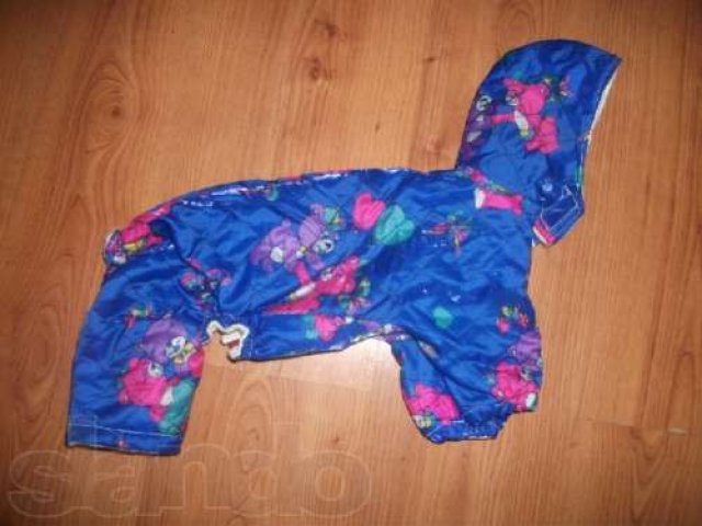 Пошив одежды для собак и кошек в городе Саратов, фото 1, стоимость: 0 руб.