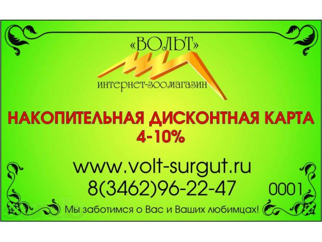 Первый в Сургуте интернет-зоомагазин ВОЛЬТ в городе Сургут, фото 1, стоимость: 0 руб.