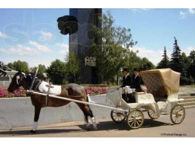 Карета+конное сопровождение автомашин (Иваново Свадьба) в городе Иваново, фото 1, Ивановская область