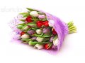 Тюльпаны к 8 марта в Твери! Самые весенние цветы!!! в городе Тверь, фото 1, Тверская область