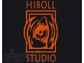 студия звукозаписи HIBOLL STUDIO ждет в гости музыкантов в городе Санкт-Петербург, фото 1, Ленинградская область