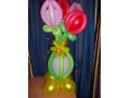 Фигуры и цветы из воздушных шаров в городе Смоленск, фото 3, Прочее