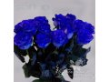 Цветы, Букеты, Радужные розы, Синие розы к 8 марта! в городе Томск, фото 7, Томская область
