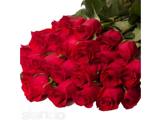 Цветы.Доставка по Уфе. Свежие розы по низким ценам!!! в городе Уфа, фото 4, стоимость: 0 руб.
