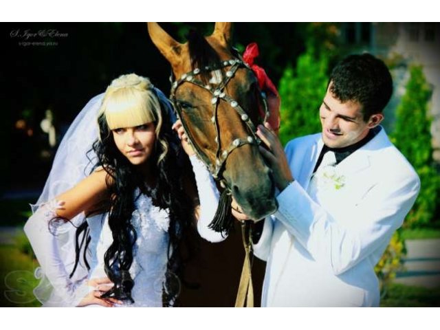Фотограф на свадьбу, семейное фото, детское, Love Story, в ожидании в городе Новочеркасск, фото 4, Фото, видео, полиграфия
