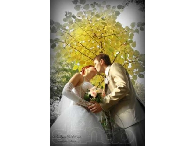 Фотограф на свадьбу, семейное фото, детское, Love Story, в ожидании в городе Новочеркасск, фото 7, Фото, видео, полиграфия
