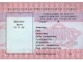 Разрешение на работу для граждан СНГ в городе Москва, фото 1, Московская область