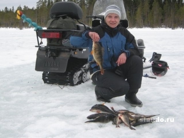 Рыбалка, охота, отдых в Карелии зимой и летом в городе Костомукша, фото 6, Прочие туристические и иммиграционные услуги