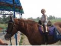 Обучение верховой езде и физкультура на лошади. в городе Красноярск, фото 1, Красноярский край