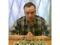 Международная Шахматная школа Феникс-Чесс (СПб, Интернет) в городе Санкт-Петербург, фото 1, Ленинградская область