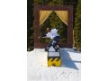 Тренер. Проф обучение катанию на сноуборде. Любой уровень, любой стиль в городе Москва, фото 4, Московская область