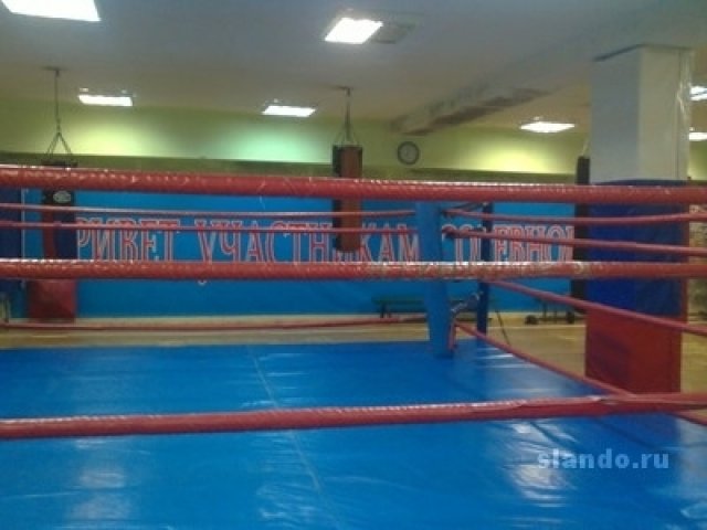 Тренер по боксу и кикбоксингу в городе Москва, фото 3, Тренеры