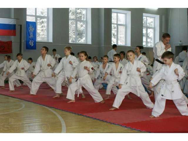 Спортивное каратэ и рукопашный бой для детей и взрослых в городе Нижний Новгород, фото 6, стоимость: 0 руб.