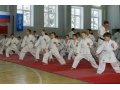 Спортивное каратэ и рукопашный бой для детей и взрослых в городе Нижний Новгород, фото 6, Спортивные секции