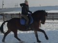 Фитнес верхом на лошади! в городе Челябинск, фото 1, Челябинская область