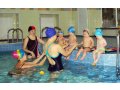Занятия в бассейне в городе Щёлково, фото 1, Московская область
