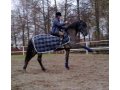 Обучение верховой езде. Прогулки на лошадях. Катание на лошадях. в городе Киров, фото 2, стоимость: 0 руб.