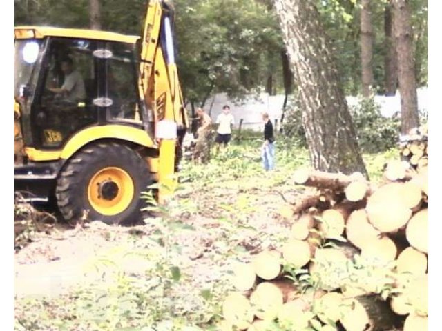 Удаление деревьев спб в городе Санкт-Петербург, фото 2, Другое