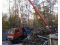 Удаление деревьев спб в городе Санкт-Петербург, фото 3, Другое
