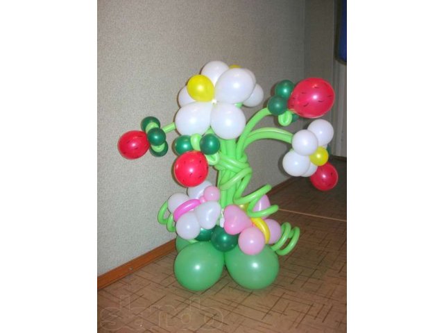 Цветы и фигуры из шаров, г. Иваново в городе Иваново, фото 8, Ивановская область