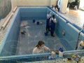 Профессиональная чистка бассейнов! в городе Оренбург, фото 1, Оренбургская область