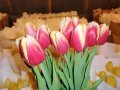 Тюльпаны в розницу и оптом. в городе Дзержинск, фото 1, Нижегородская область