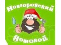 поможем чем сможем в городе Великий Новгород, фото 1, Новгородская область