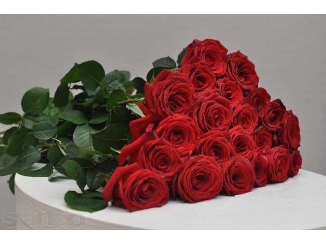 Доставка букетов из роз в городе Пенза, фото 1, стоимость: 0 руб.